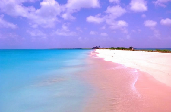 Bahamas pink beach