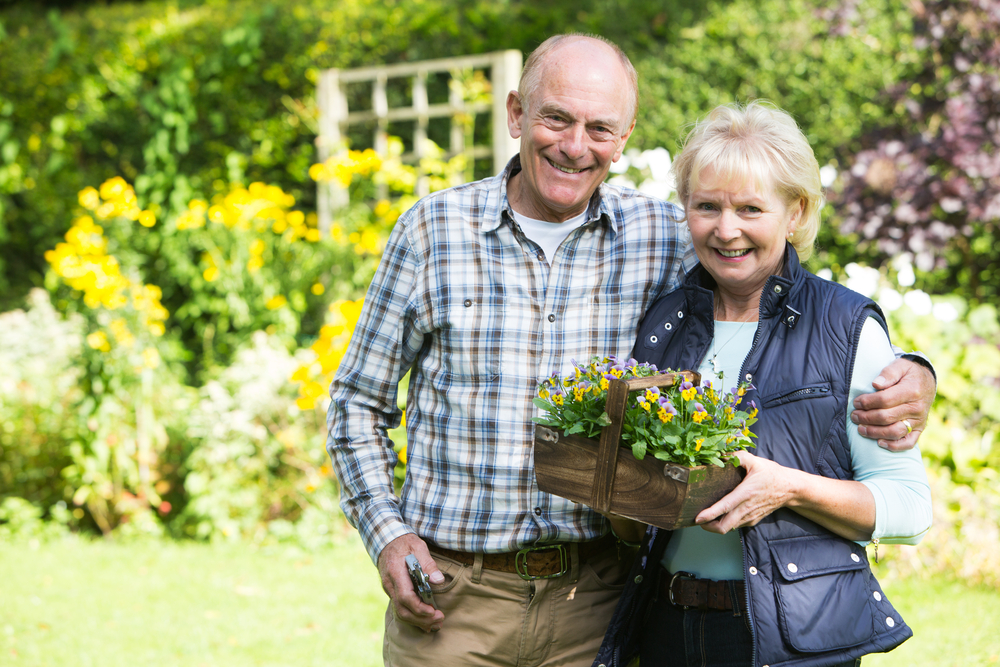 Senior couple holding a plotted plant and walking in the garden together.