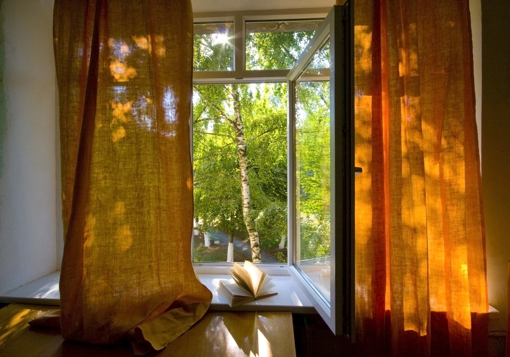 Opened plastic window with book open and view to green trees
