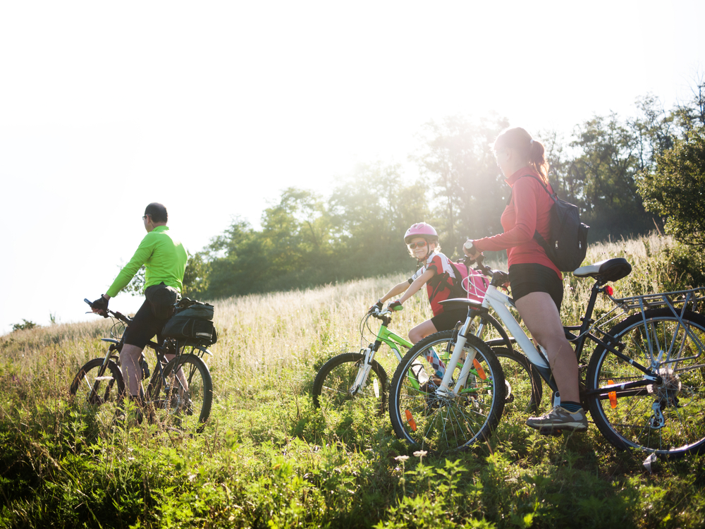 A family cycling in the summer.