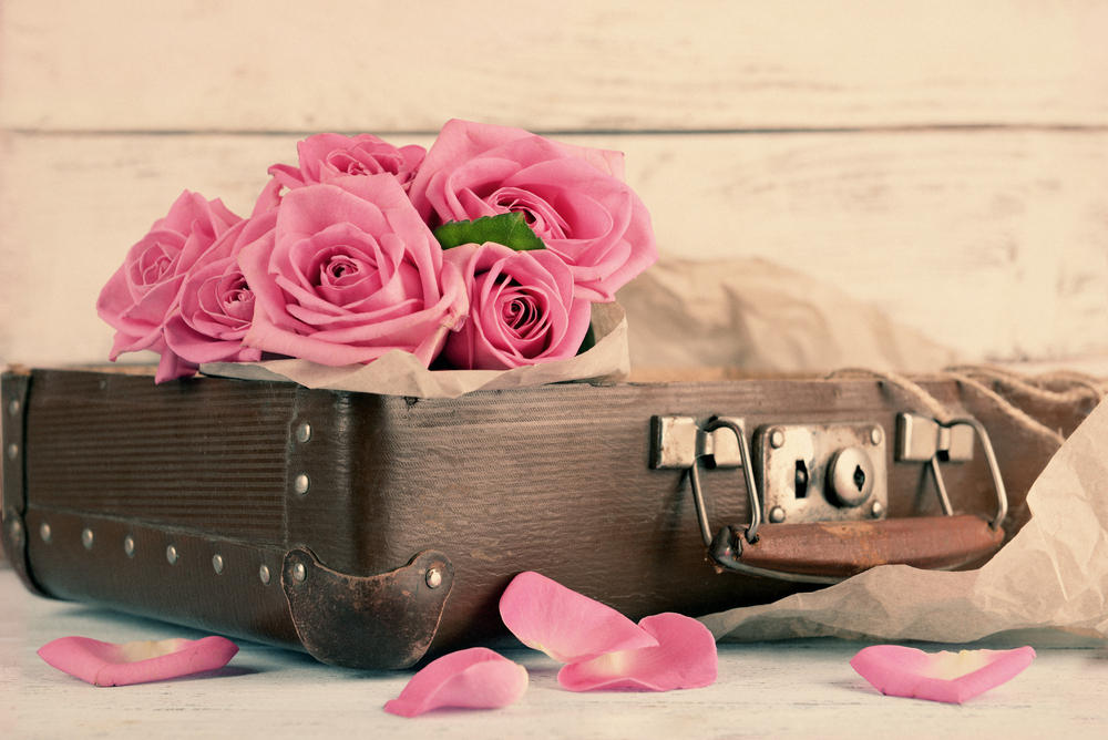Beautiful pink roses in suitcase, closeup.