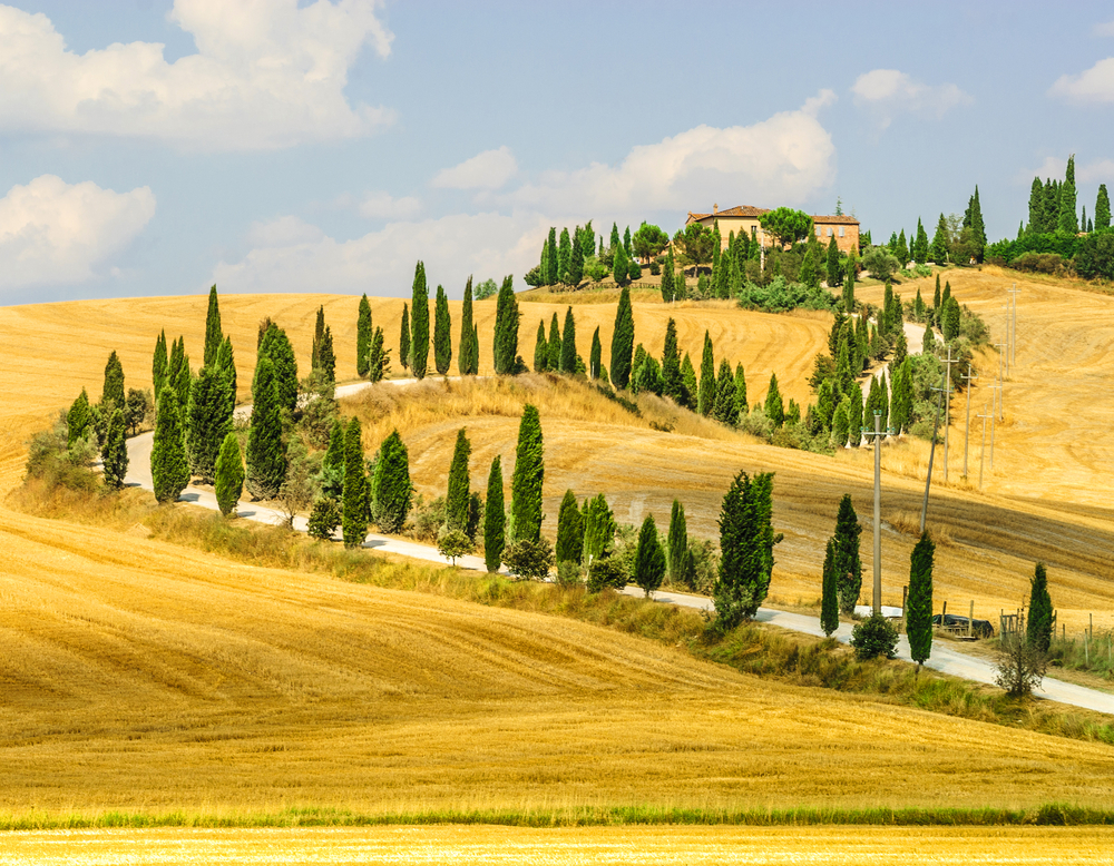 Old typical farm in Val d'Orcia (Tuscany, Italy) with yellow fields and winding road