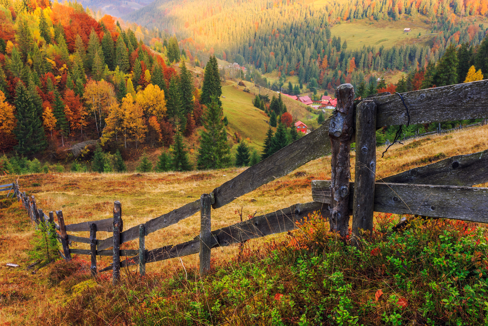 Colorful autumn landscape scene with fence in Transylvania mountain-Romania