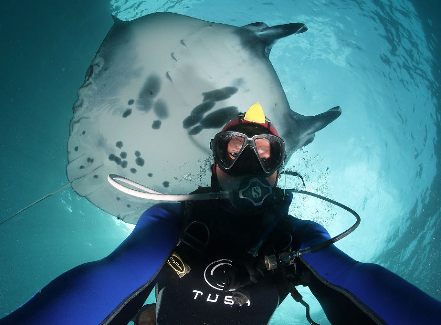 Selfie with ocean wildlife