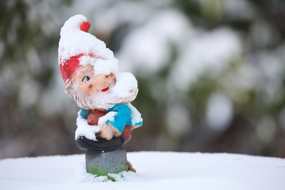 A frozen garden gnome in winter time