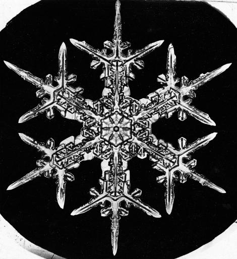 Bentley snowflake