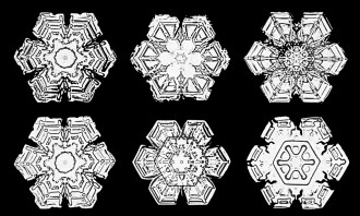 Bentley snowflakes