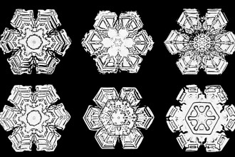 Bentley snowflakes