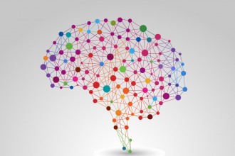 Creative concept of a human brain.