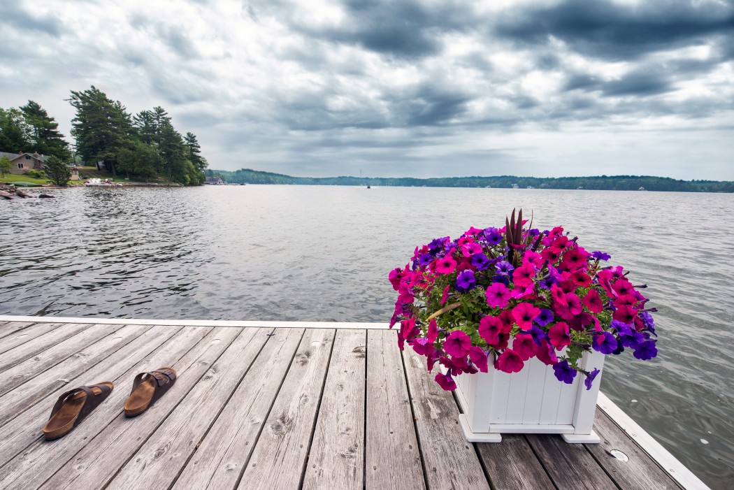 Sandals on a dock with a big planter of beautiful flowers by Muskoka lake.