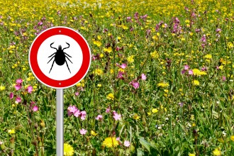 Tick sign with meadow background.