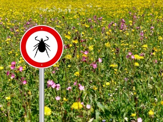 Tick sign with meadow background.