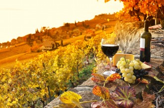 A glass of red wine among Autumn leaves.