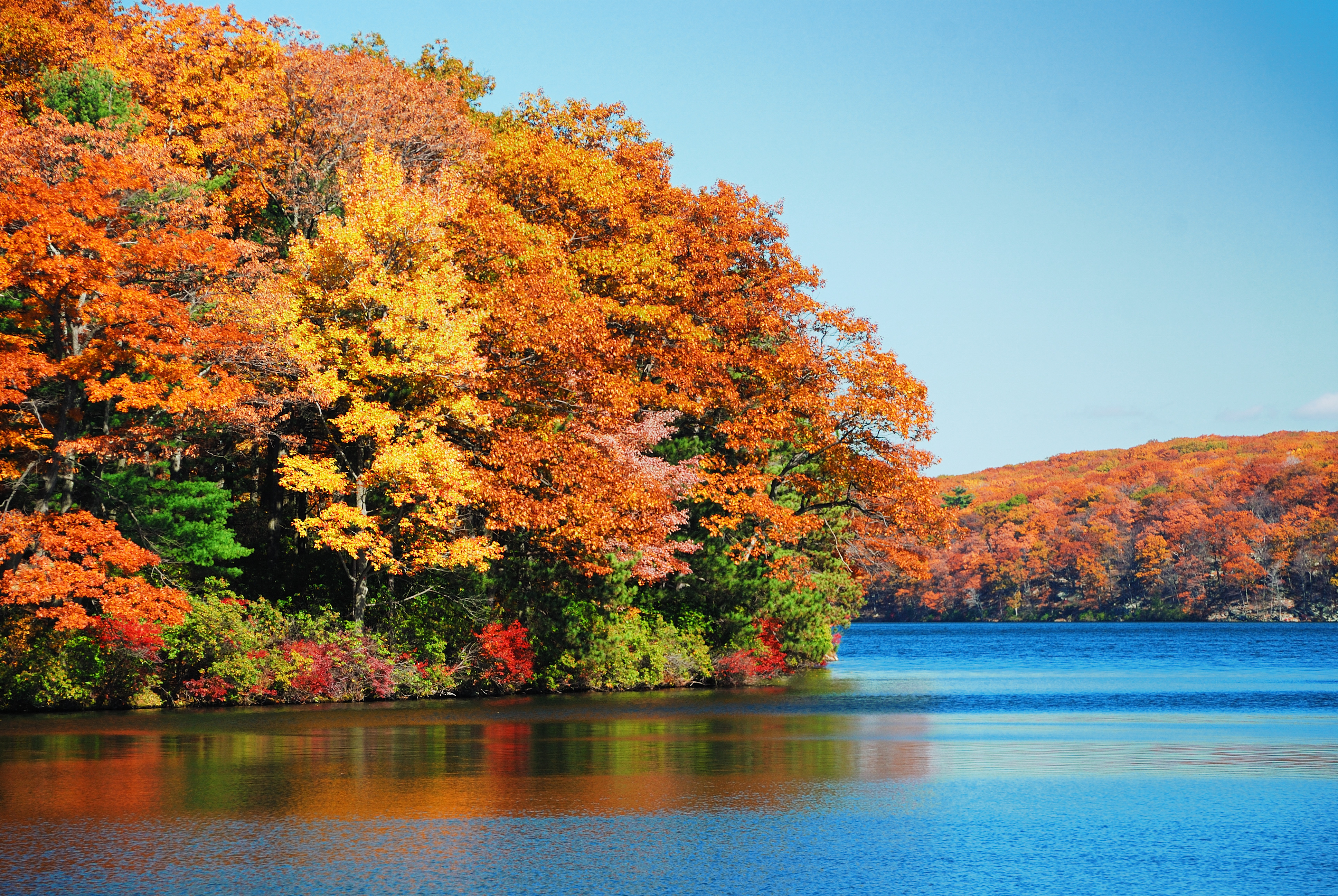 The Best Places To Travel To See Fall Foliage