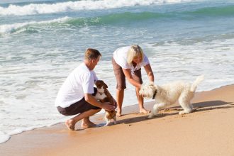 A couple with their family dogs on the beach